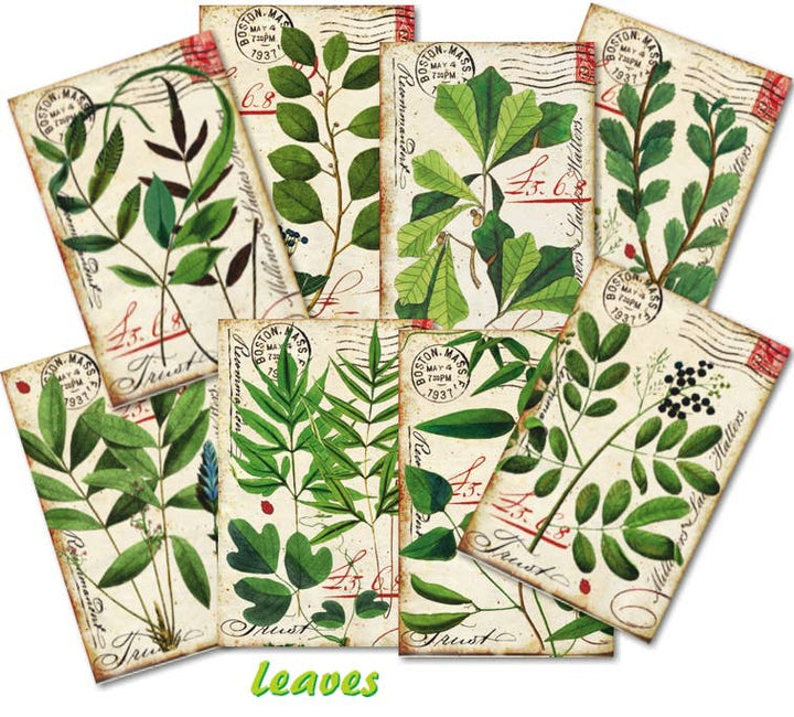 Leaves - MINI, 7cm x 10,8 cm , DECORER Scrapbook Paper