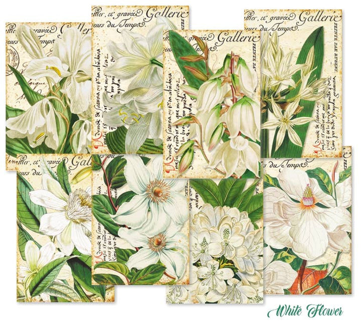 White Flower - Gift Tag Set 24 pcs 7cm x 10,8 cm , DECORER Scrapbook Paper