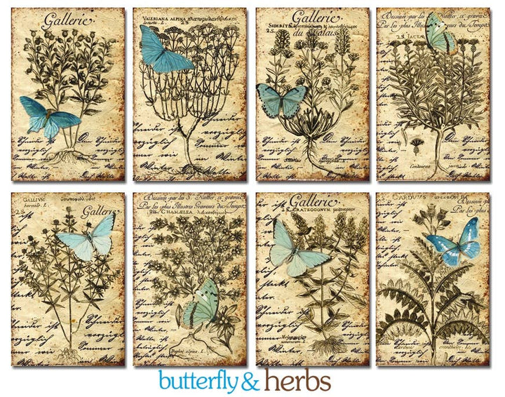 Butterfly & Herbs - Gift Tag Set, 7cm x 10,8 cm , DECORER Scrapbook Paper