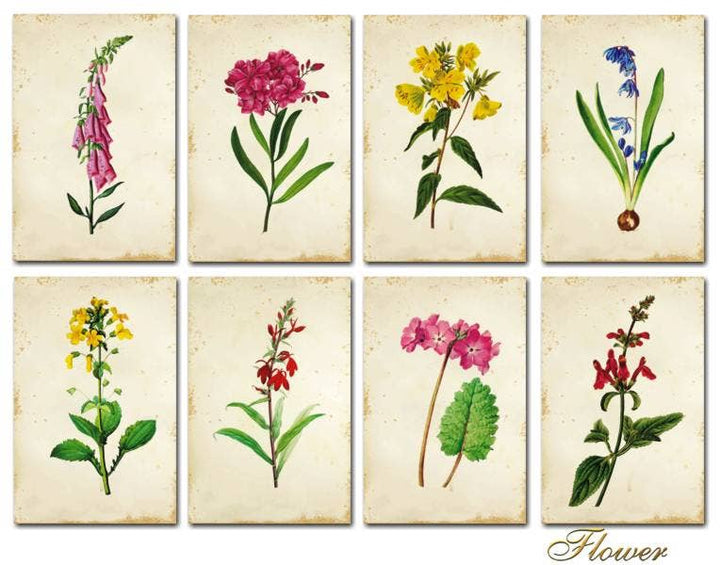 Flower - MINI, 7cm x 10,8 cm , DECORER Scrapbook Paper