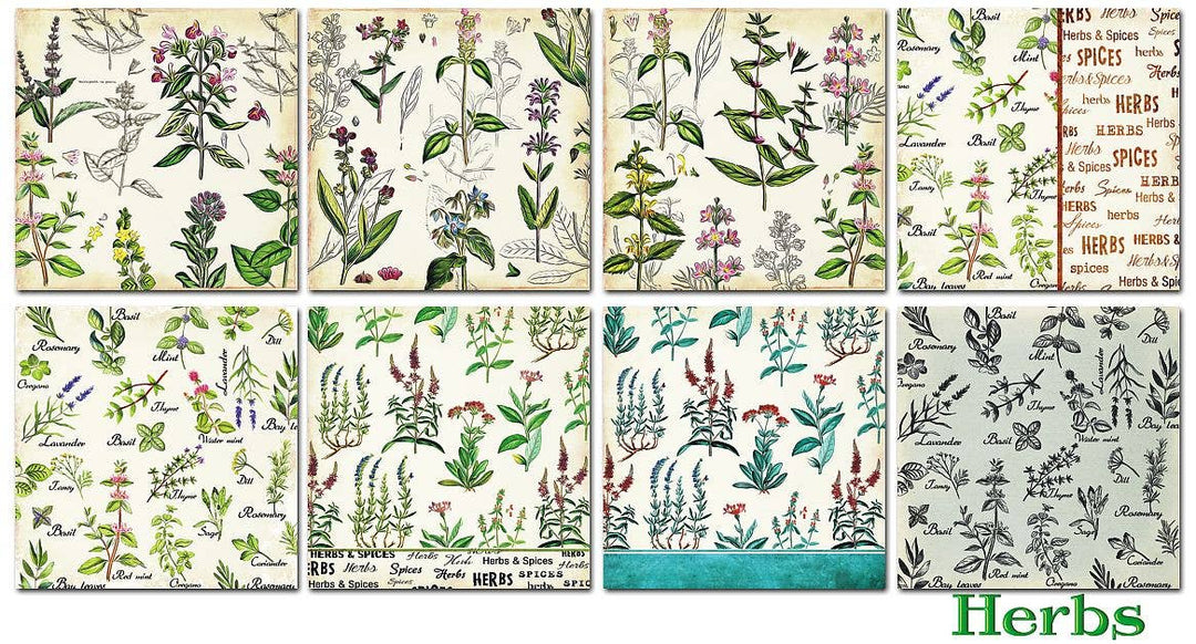 Herbs - 6'X 6' DECORER Scrapbook Paper