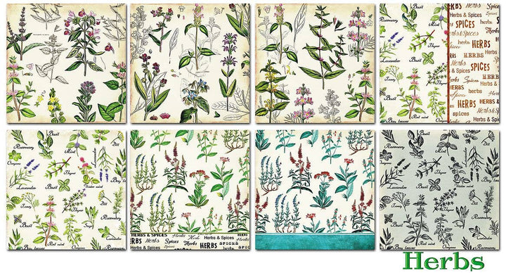 Herbs - 6'X 6' DECORER Scrapbook Paper