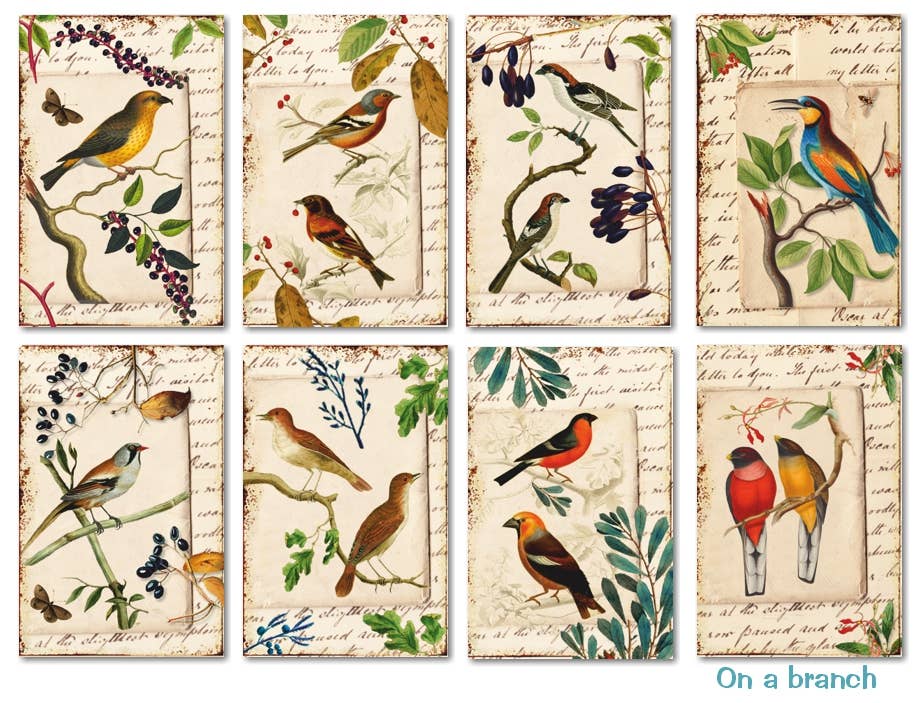 On A Branch - MINI, 7cm x 10,8 cm , DECORER Scrapbook Paper