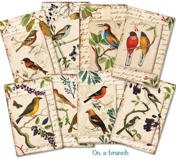 On A Branch - MINI, 7cm x 10,8 cm , DECORER Scrapbook Paper
