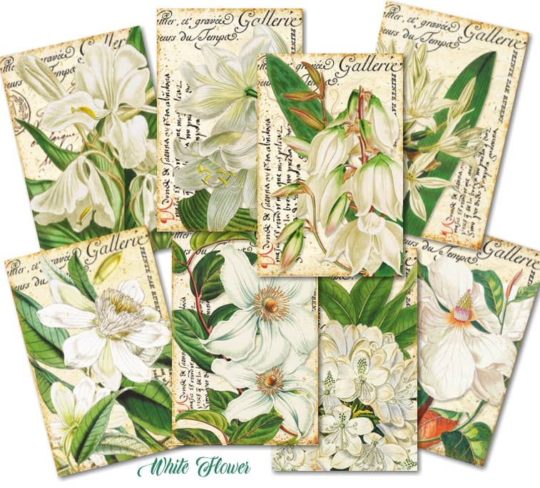 White Flower - Gift Tag Set 24 pcs 7cm x 10,8 cm , DECORER Scrapbook Paper