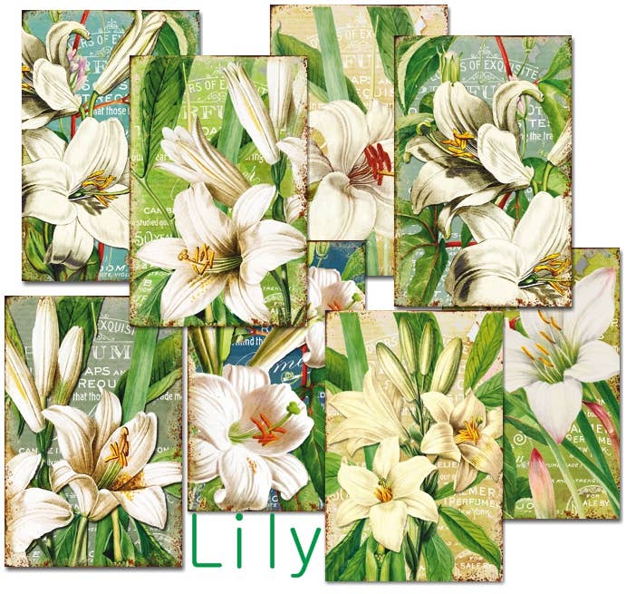 Lily - Gift Tag Set 24 pcs, 7cm x 10,8 cm , DECORER Scrapbook Paper