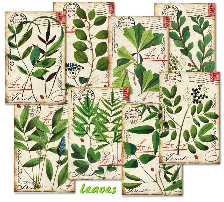 Leaves - MINI, 7cm x 10,8 cm , DECORER Scrapbook Paper