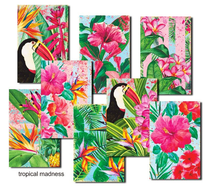 Tropical Madness - MINI 7cm x 10,8 cm , DECORER Scrapbook Paper