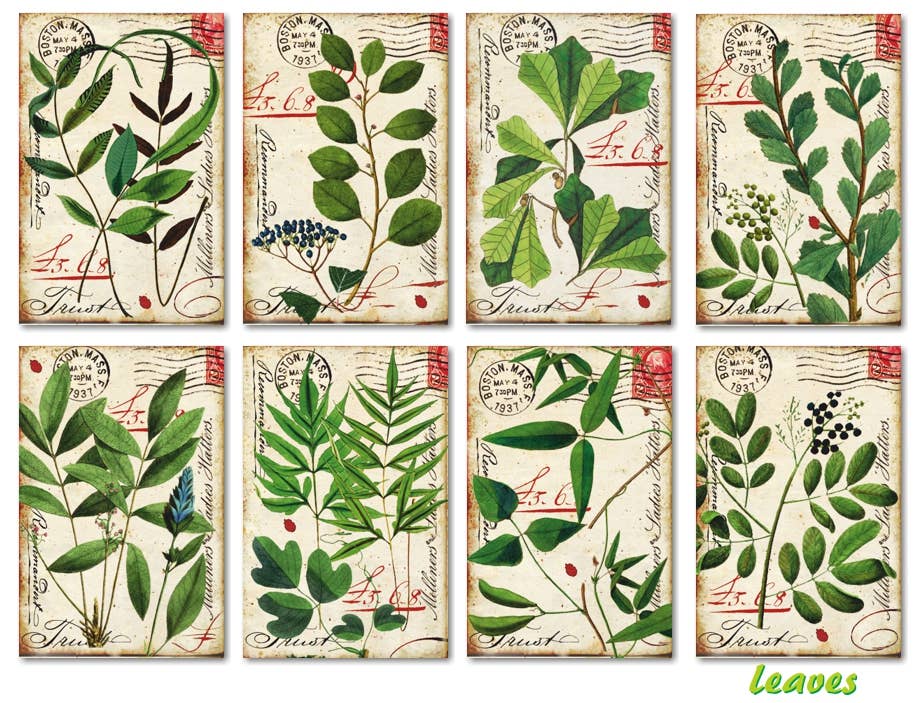 Leaves - MINI, 7cm x 10,8 cm , DECORER Scrapbook Paper