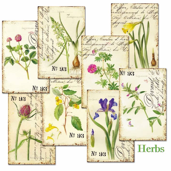 Herbs - MINI 7cm x 10,8 cm , DECORER Scrapbook Paper