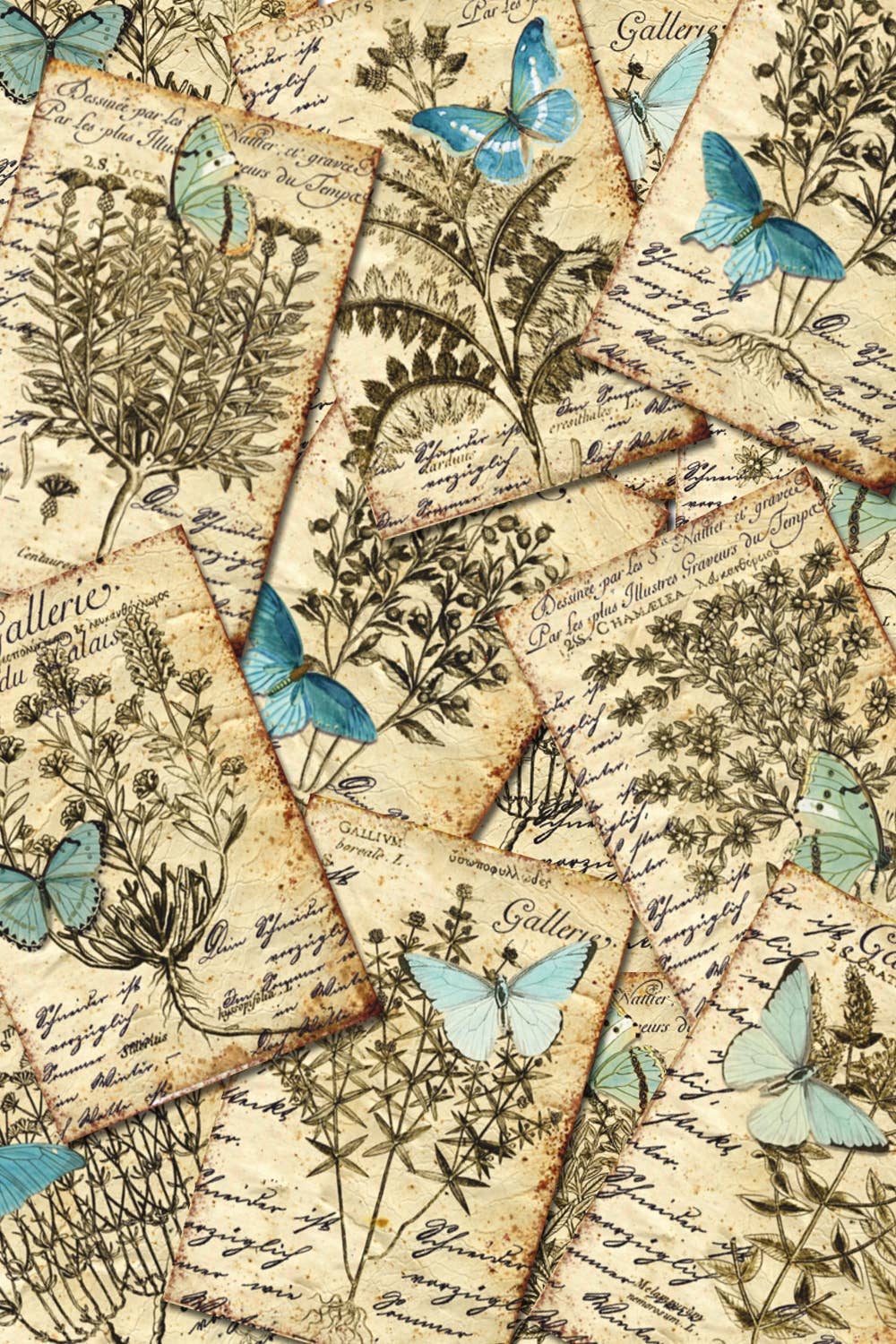 Butterfly & Herbs - Gift Tag Set, 7cm x 10,8 cm , DECORER Scrapbook Paper