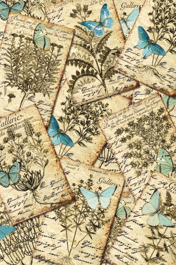 Butterfly & Herbs - Gift Tag Set, 7cm x 10,8 cm , DECORER Scrapbook Paper