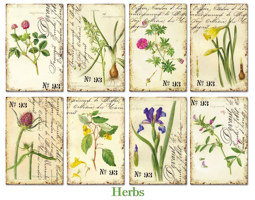 Herbs - MINI 7cm x 10,8 cm , DECORER Scrapbook Paper
