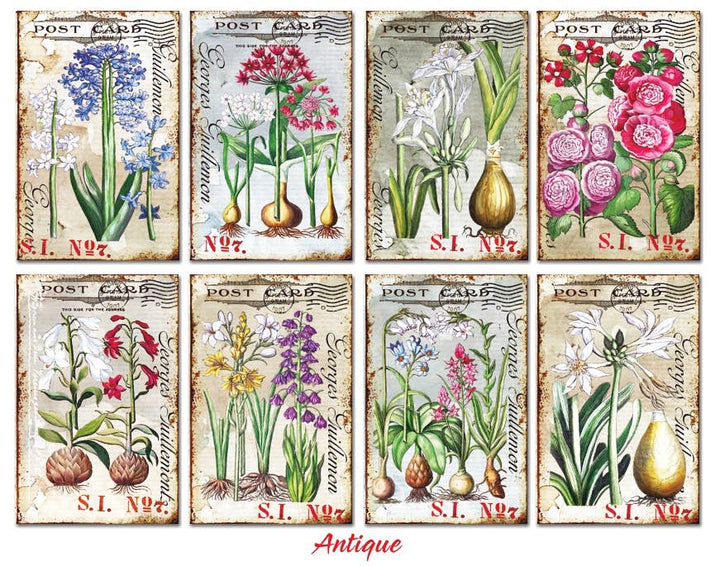 Antique - Gift Tag Set 24 pcs, 7cm x 10,8 cm , DECORER Scrapbook Paper