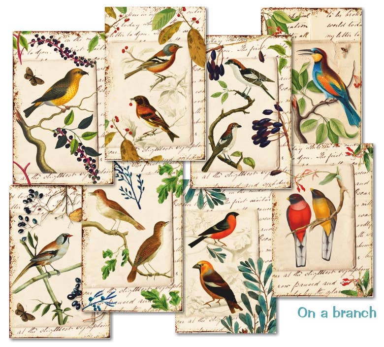 On A Branch - MINI, 7cm x 10,8 cm , DECORER Scrapbook Paper
