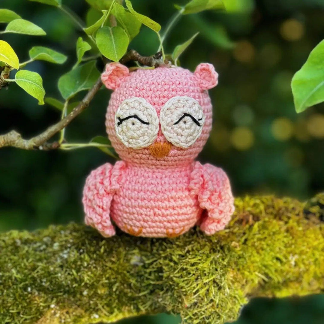 Knitty Critters - Pouch Pals - Oliver Owl, Kit