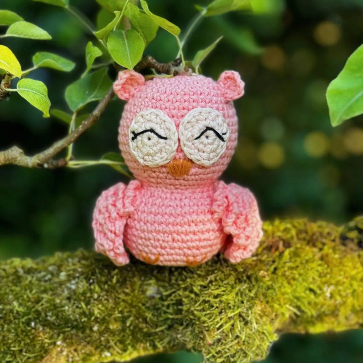 Knitty Critters - Pouch Pals - Oliver Owl, Kit
