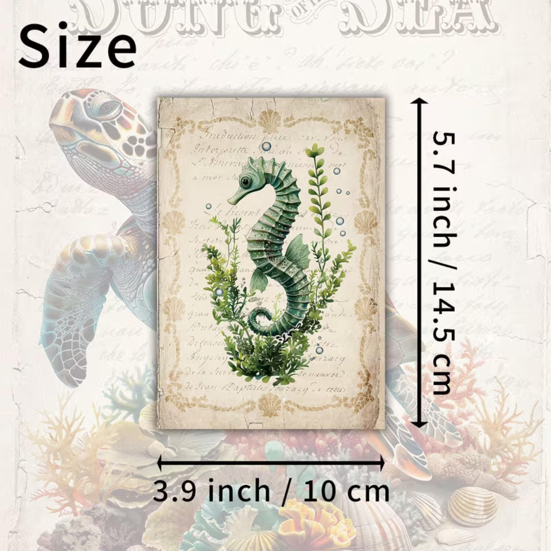 Set of 20 Vintage Sea Life Ephemera Cards 4x6 in | Ocean Animals Junk Journal Cards, Nautical Scrapbook Paper & Marine Collage Pack