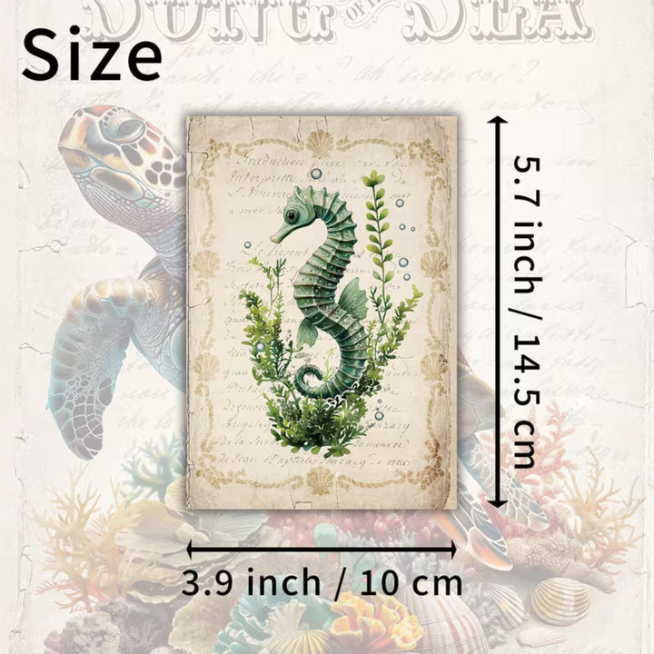 Set of 20 Vintage Sea Life Ephemera Cards 4x6 in | Ocean Animals Junk Journal Cards, Nautical Scrapbook Paper & Marine Collage Pack