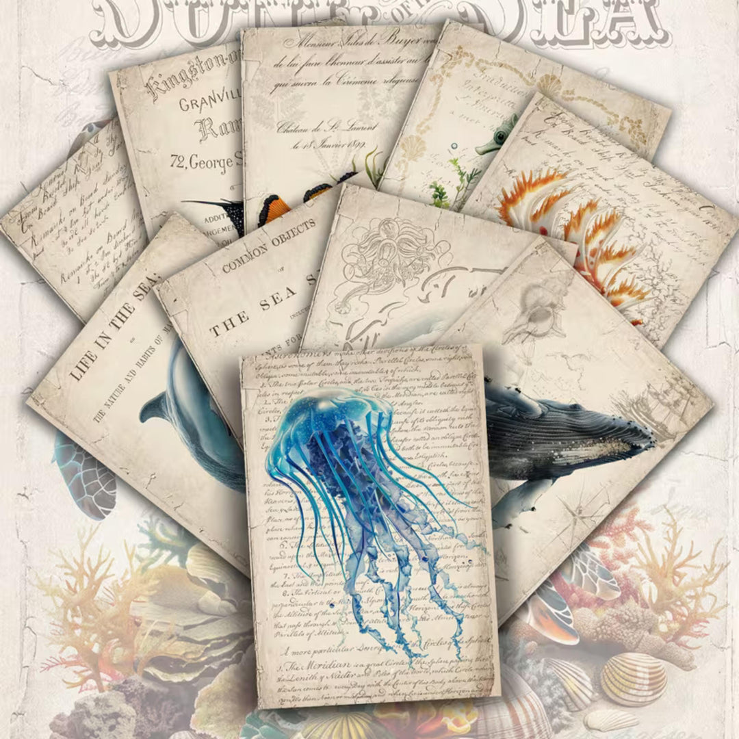 Set of 20 Vintage Sea Life Ephemera Cards 4x6 in | Ocean Animals Junk Journal Cards, Nautical Scrapbook Paper & Marine Collage Pack