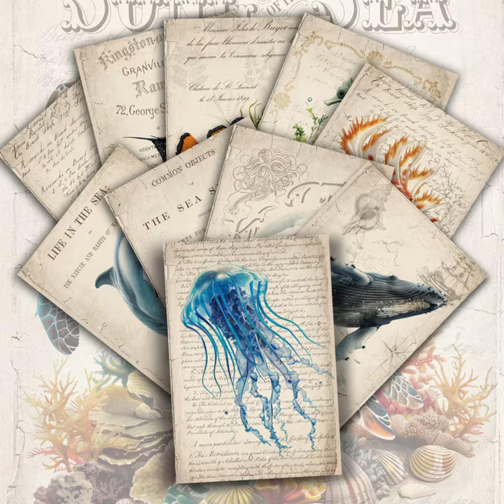 Set of 20 Vintage Sea Life Ephemera Cards 4x6 in | Ocean Animals Junk Journal Cards, Nautical Scrapbook Paper & Marine Collage Pack