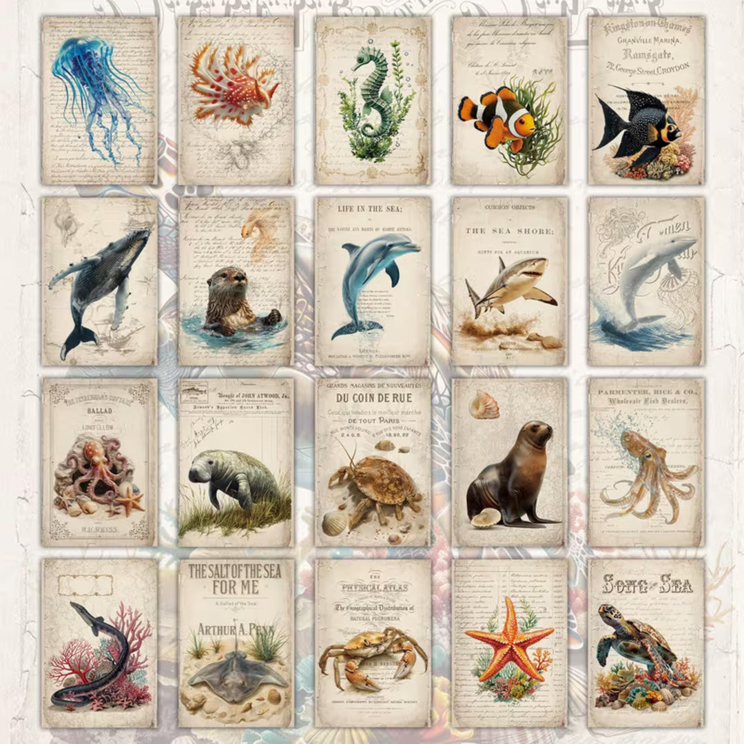 Set of 20 Vintage Sea Life Ephemera Cards 4x6 in | Ocean Animals Junk Journal Cards, Nautical Scrapbook Paper & Marine Collage Pack
