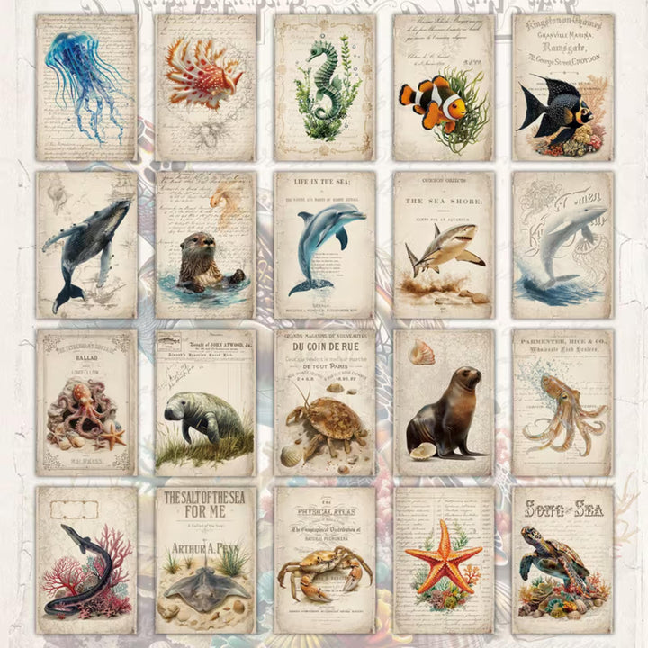 Set of 20 Vintage Sea Life Ephemera Cards 4x6 in | Ocean Animals Junk Journal Cards, Nautical Scrapbook Paper & Marine Collage Pack