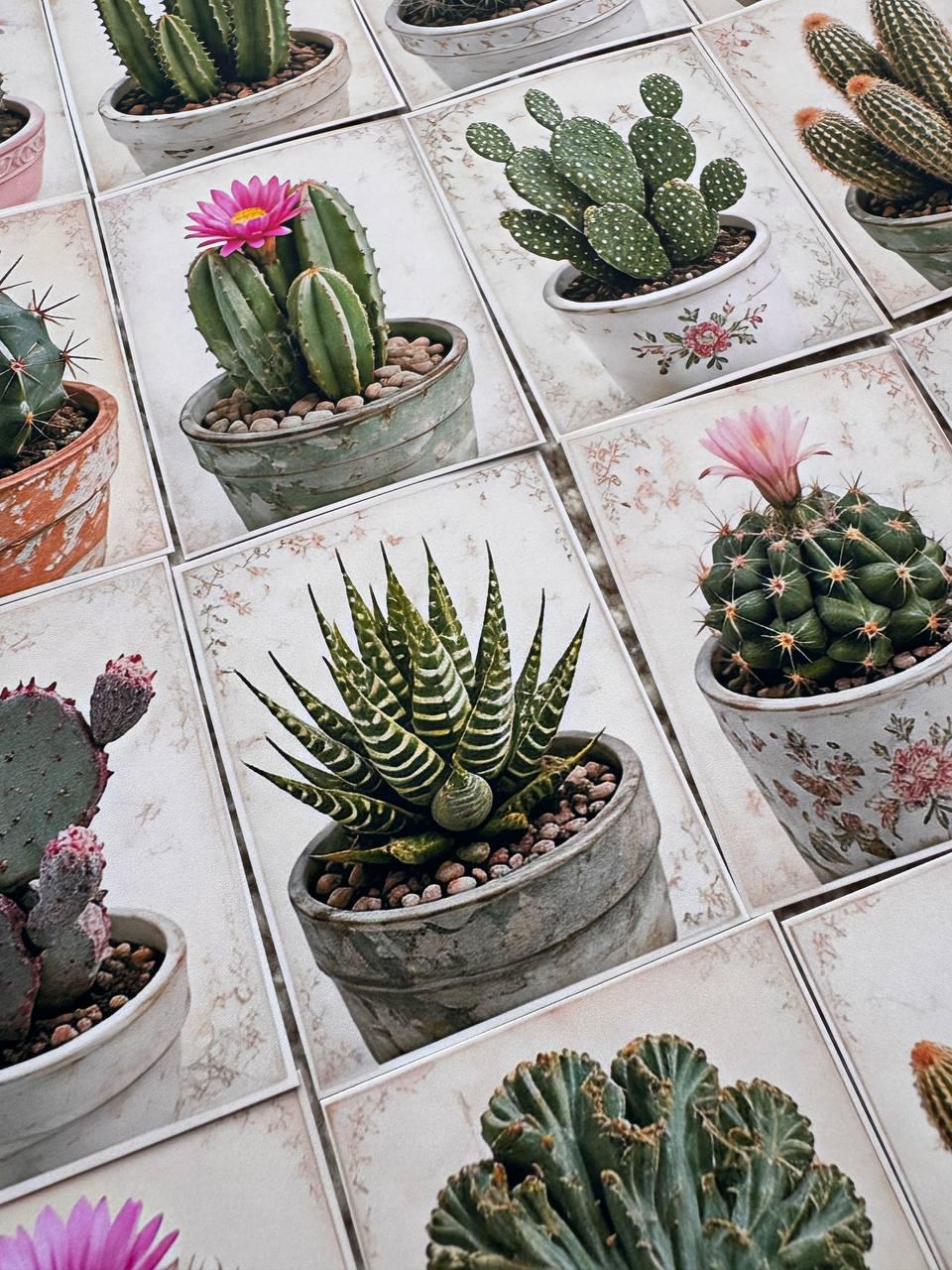 Set of 30 Cactus Stickers Set, Succulent Die Cuts, Botanical Journal Stickers, Plant Lover Scrapbook Pack, Vintage Cactus Ephemera