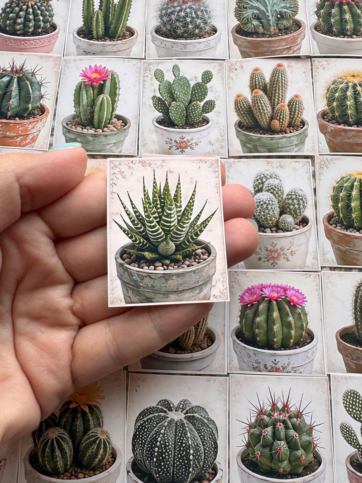 Set of 30 Cactus Stickers Set, Succulent Die Cuts, Botanical Journal Stickers, Plant Lover Scrapbook Pack, Vintage Cactus Ephemera