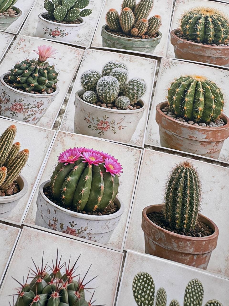 Set of 30 Cactus Stickers Set, Succulent Die Cuts, Botanical Journal Stickers, Plant Lover Scrapbook Pack, Vintage Cactus Ephemera