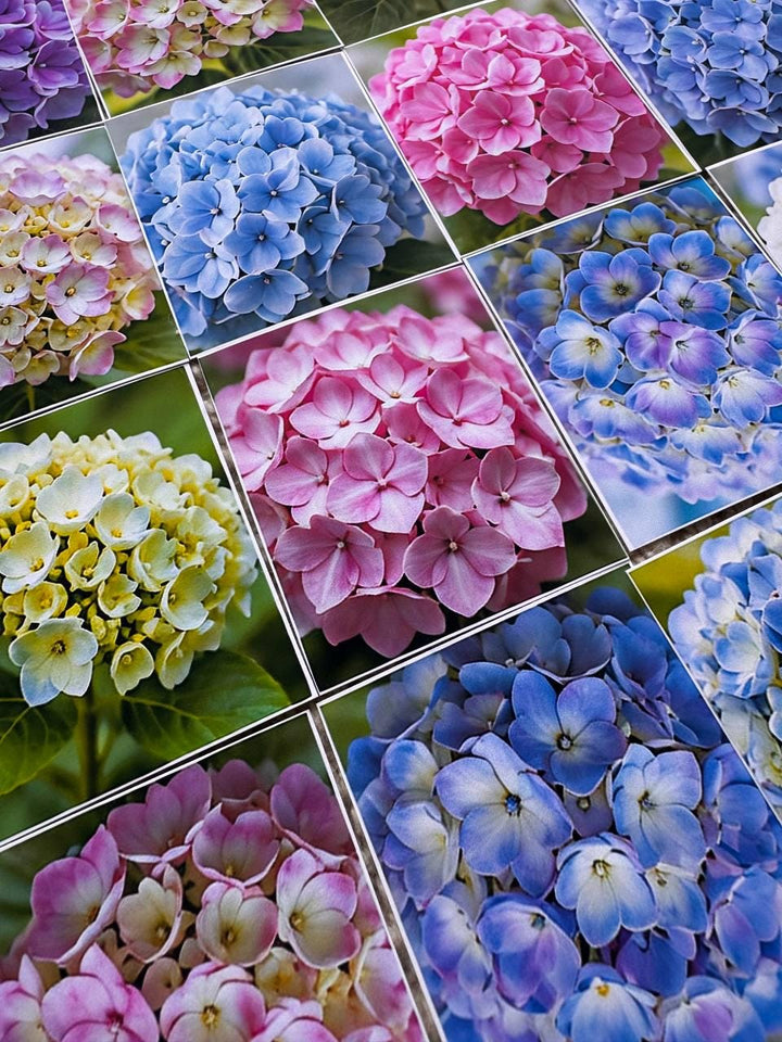 Set of 30 Hydrangea Stickers Set, Floral Die Cuts, Botanical Flower Stickers, Pink Blue Hydrangea Ephemera, Junk Journal Scrapbook Pack