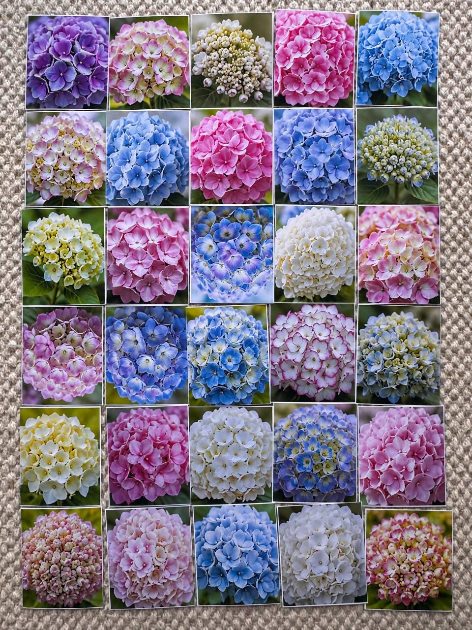 Set of 30 Hydrangea Stickers Set, Floral Die Cuts, Botanical Flower Stickers, Pink Blue Hydrangea Ephemera, Junk Journal Scrapbook Pack