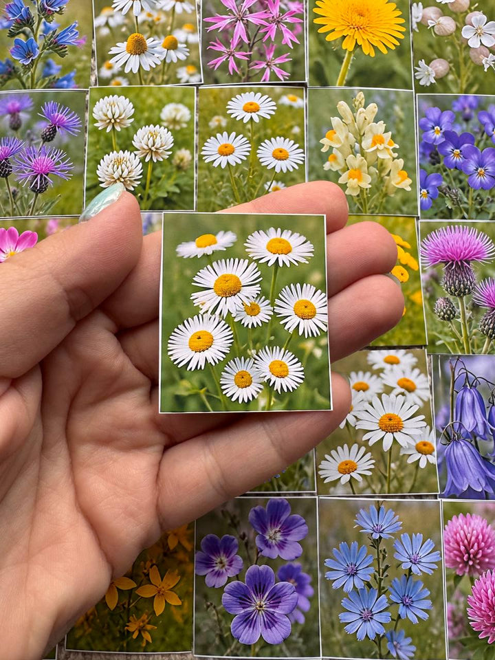 Set of 30 Wildflower Stickers Set, Meadow Flower Die Cuts, Botanical Scrapbook Stickers, Floral Journal Ephemera, Cottagecore Flower Pack