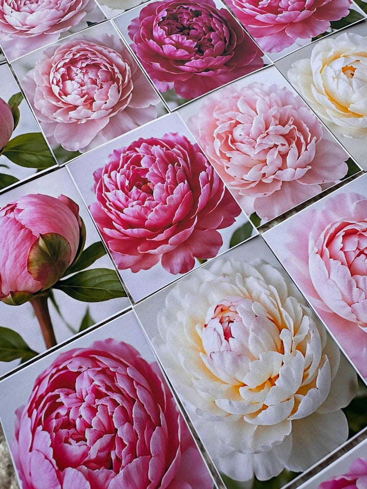 Set of 30 Peony Flower Stickers Set, Pink Peony Die Cuts, Floral Scrapbook Stickers, Romantic Journal Ephemera, Cottagecore Flower Pack