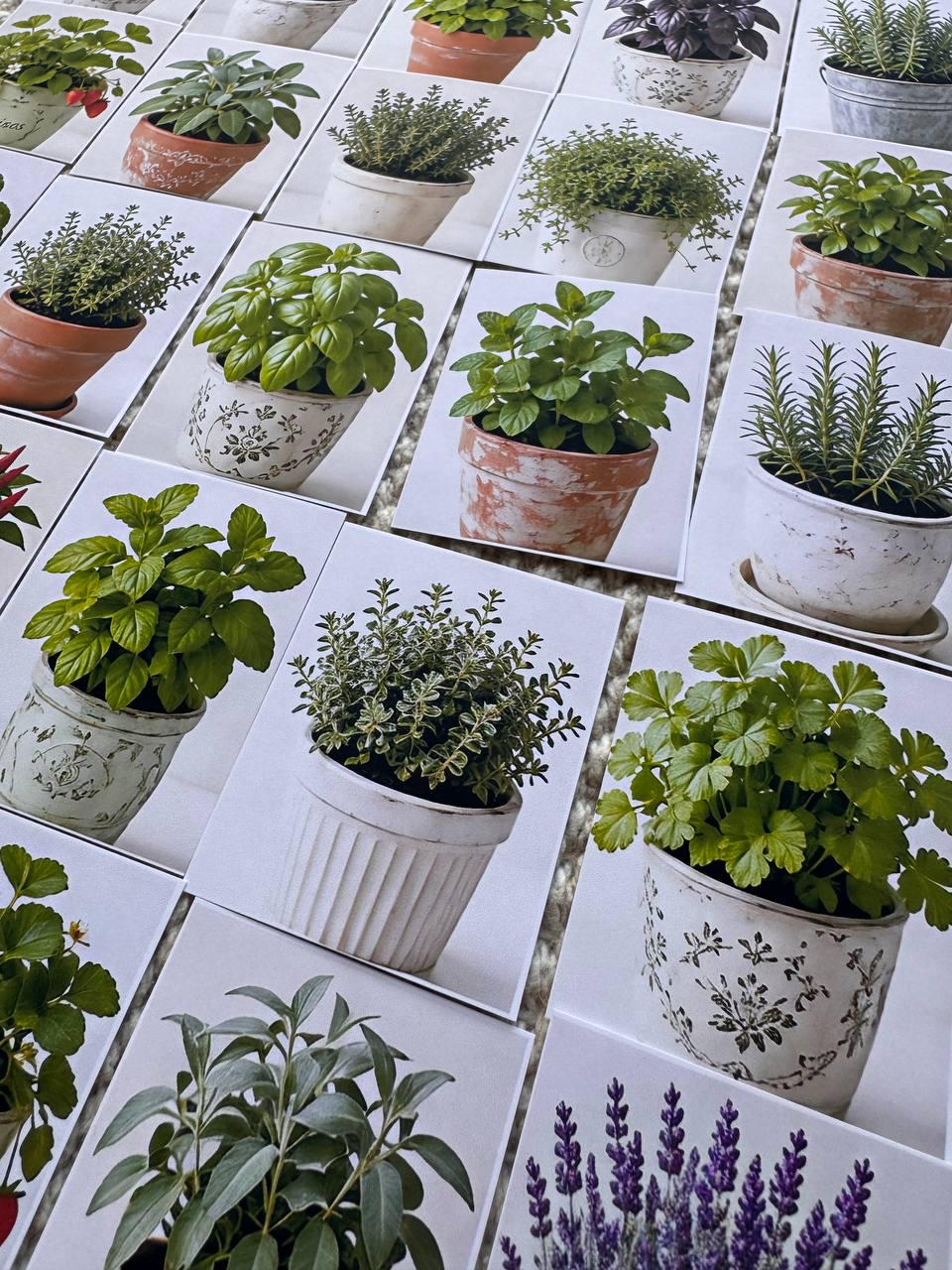 Set of 30 Herb Garden Stickers Set, Botanical Plant Die Cuts, Kitchen Herbs, Cottagecore Scrapbook Ephemera, Planner Journal Sticker Pack