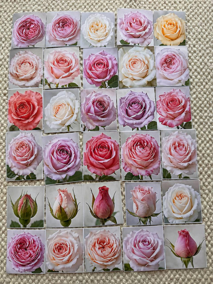 Set of 30 Rose Stickers Set, Pink Rose Die Cuts, Floral Journal Stickers, Vintage Rose Ephemera, Scrapbook Planner Stickers Pack