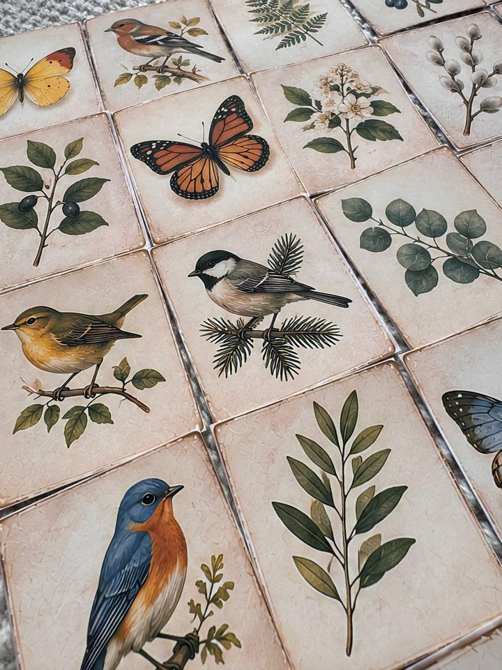 Set of 30 Vintage Nature Stickers Set, Botanical Ephemera Pack, Bird & Butterfly , Cottagecore Journal Stickers, Junk Journal Die Cuts