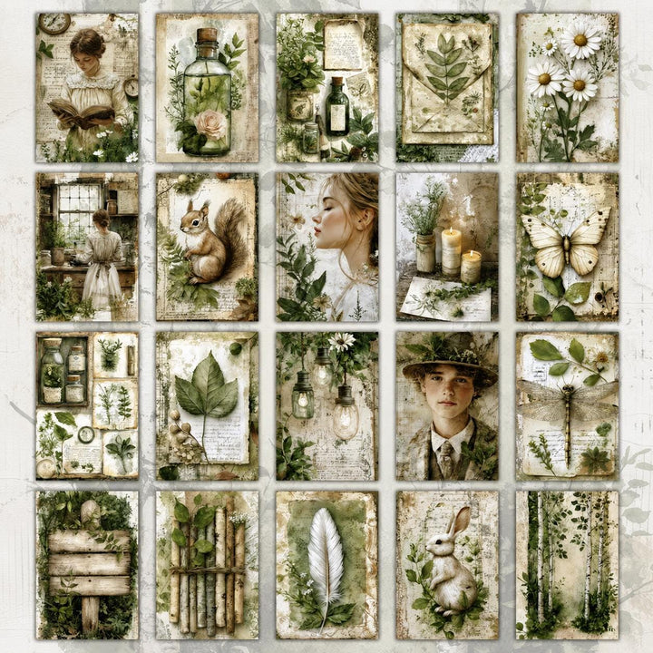 Vintage Botanical Ephemera Cards Set of 20, Cottagecore Junk Journal Cards, Nature Scrapbooking Paper Pack, Botanical Collage Supplies