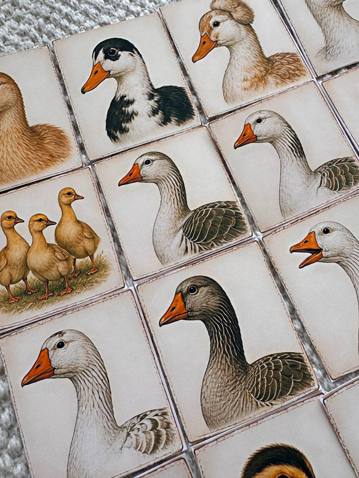 Set of 30 Duck Stickers Set, Vintage Duckling Stickers, Farm Animal Scrapbook Stickers, Cottagecore Planner Stickers,Cute Goose Duck Journal