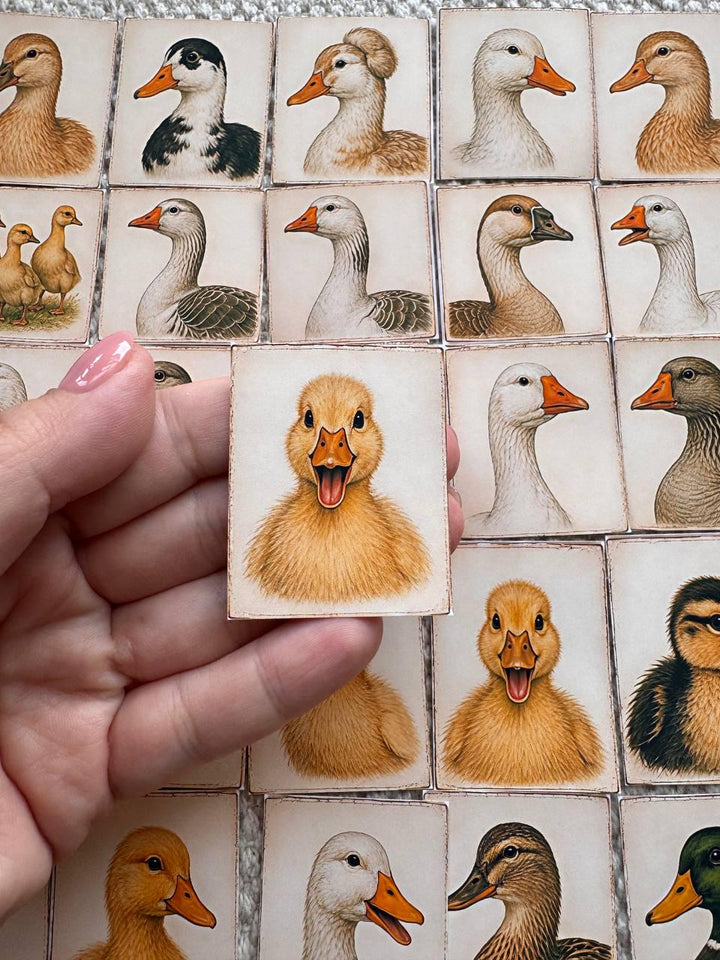 Set of 30 Duck Stickers Set, Vintage Duckling Stickers, Farm Animal Scrapbook Stickers, Cottagecore Planner Stickers,Cute Goose Duck Journal