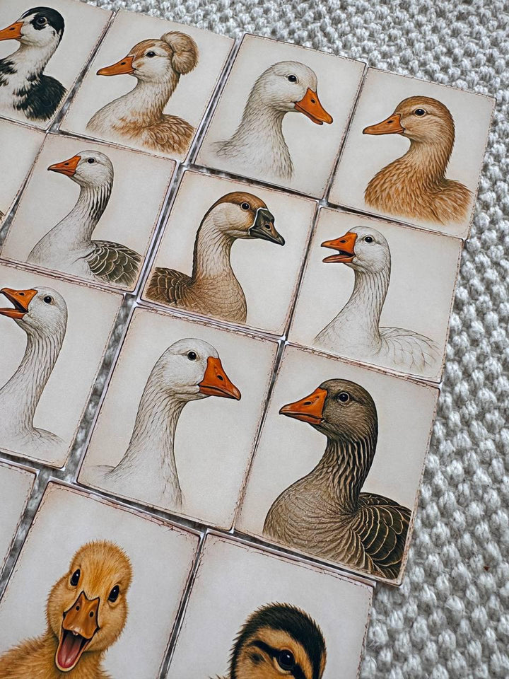 Set of 30 Duck Stickers Set, Vintage Duckling Stickers, Farm Animal Scrapbook Stickers, Cottagecore Planner Stickers,Cute Goose Duck Journal