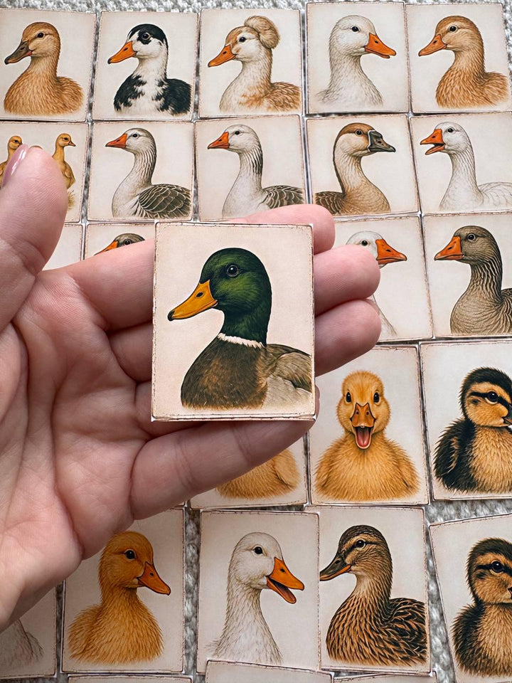 Set of 30 Duck Stickers Set, Vintage Duckling Stickers, Farm Animal Scrapbook Stickers, Cottagecore Planner Stickers,Cute Goose Duck Journal
