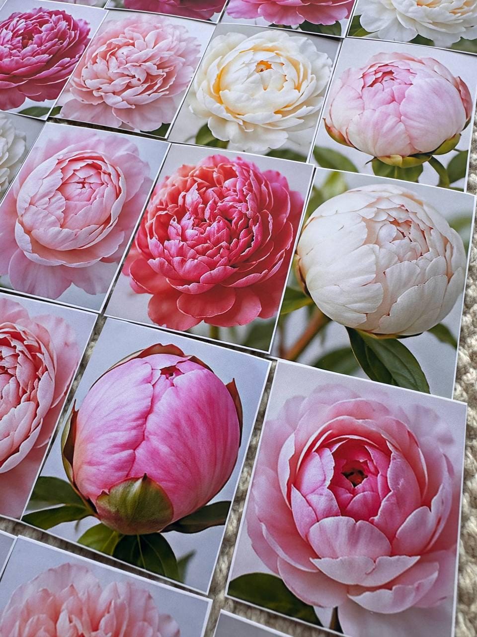 Set of 30 Peony Flower Stickers Set, Pink Peony Die Cuts, Floral Scrapbook Stickers, Romantic Journal Ephemera, Cottagecore Flower Pack