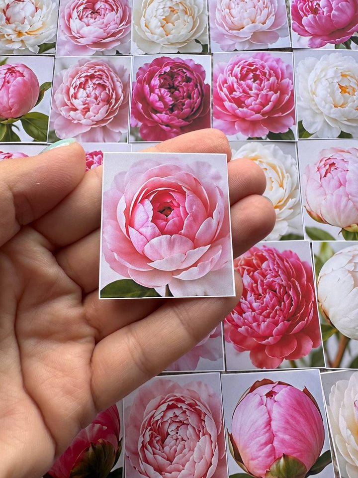 Set of 30 Peony Flower Stickers Set, Pink Peony Die Cuts, Floral Scrapbook Stickers, Romantic Journal Ephemera, Cottagecore Flower Pack