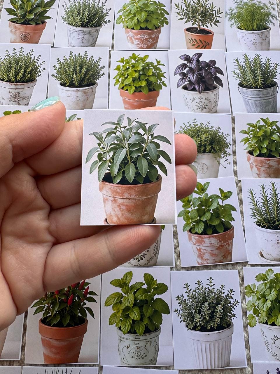 Set of 30 Herb Garden Stickers Set, Botanical Plant Die Cuts, Kitchen Herbs, Cottagecore Scrapbook Ephemera, Planner Journal Sticker Pack