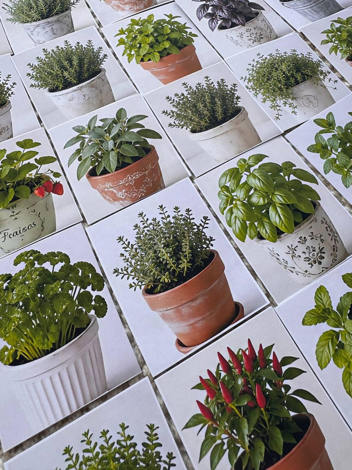 Set of 30 Herb Garden Stickers Set, Botanical Plant Die Cuts, Kitchen Herbs, Cottagecore Scrapbook Ephemera, Planner Journal Sticker Pack