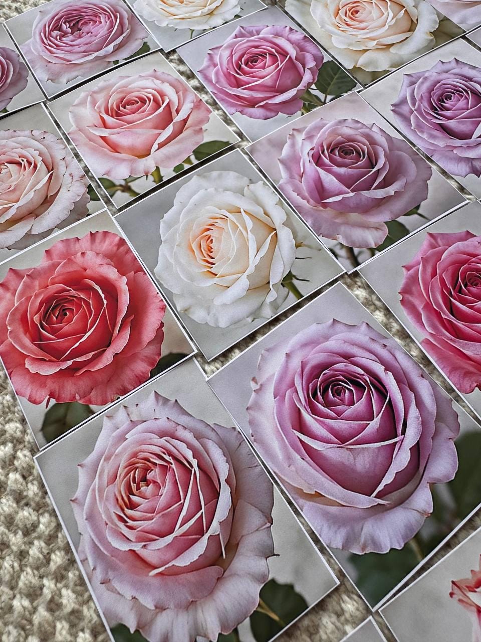 Set of 30 Rose Stickers Set, Pink Rose Die Cuts, Floral Journal Stickers, Vintage Rose Ephemera, Scrapbook Planner Stickers Pack