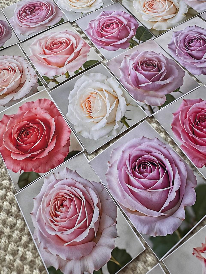 Set of 30 Rose Stickers Set, Pink Rose Die Cuts, Floral Journal Stickers, Vintage Rose Ephemera, Scrapbook Planner Stickers Pack