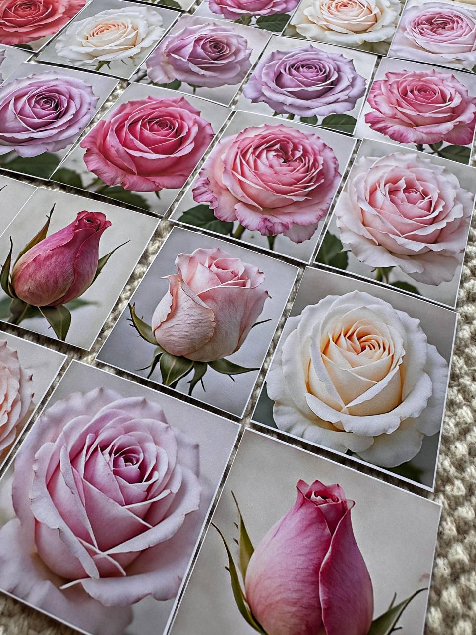Set of 30 Rose Stickers Set, Pink Rose Die Cuts, Floral Journal Stickers, Vintage Rose Ephemera, Scrapbook Planner Stickers Pack