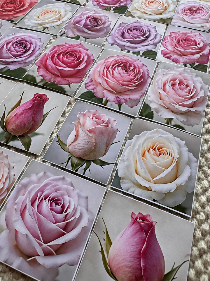 Set of 30 Rose Stickers Set, Pink Rose Die Cuts, Floral Journal Stickers, Vintage Rose Ephemera, Scrapbook Planner Stickers Pack